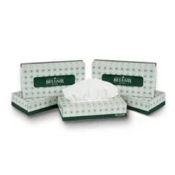 Belfair Elie® 2-Ply Facial Tissues (96 Sheet Boxes) - Case of 30
