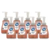 Dial® Professional Foaming Antibacterial Defense™ Hand Soap w/ Aloe (10 oz Pump Bottles) - Case of 8